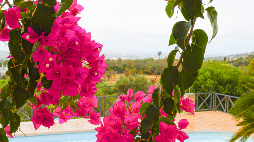 Villa in Estoi – where Privacy Meets the Atlantic Horizon